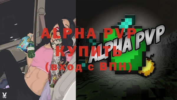ПСИЛОЦИБИНОВЫЕ ГРИБЫ Чегем