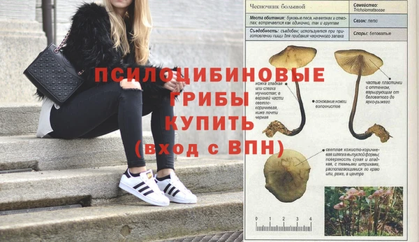 кокаин премиум Гусь-Хрустальный