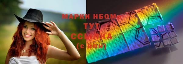 прущий лед Гусев