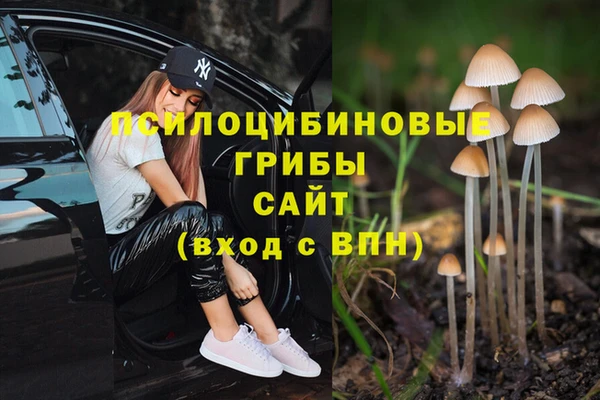 кокаин премиум Гусь-Хрустальный