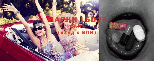 амф Вяземский
