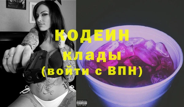 прущий лед Гусев