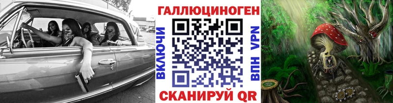 закладки Жуковка даркнет какой сайт Галлюциногенные грибы MAGIC MUSHROOMS